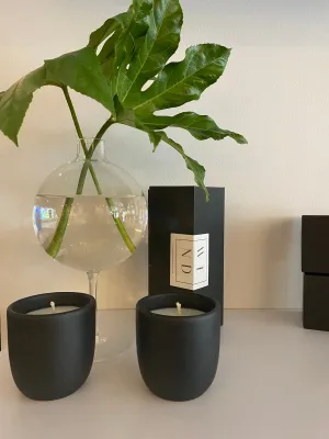 Matcha & Aloe Leaf Candle
