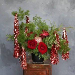 Stacy K Floral | Crimson Frost